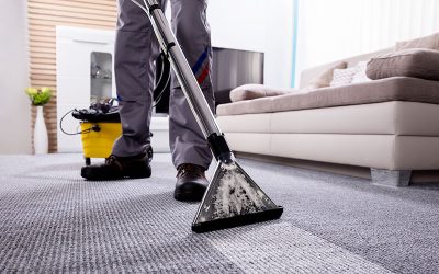 Carpet Steam Cleaning